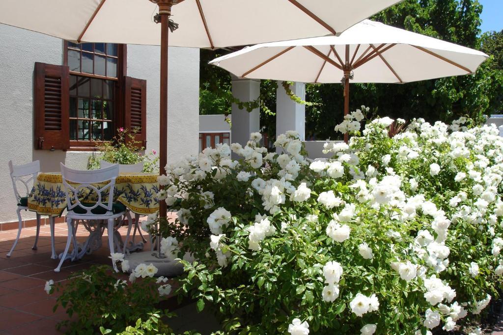 Glen Avon Lodge Boutique Hotel 开普敦 外观 照片